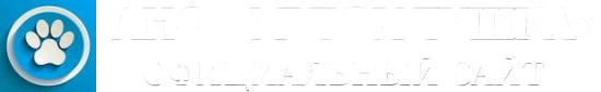 АНО «Мурзилушка»